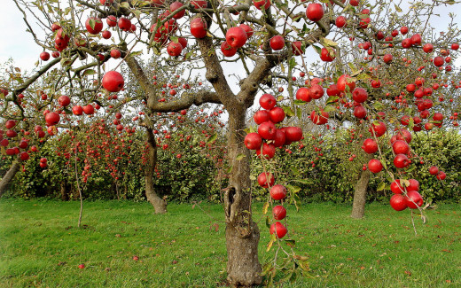 604075 (a): :2560x1600